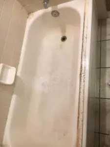 IMG 3460 E1555594004132 225x300 1